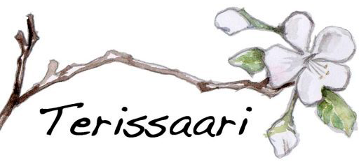 Terissaari